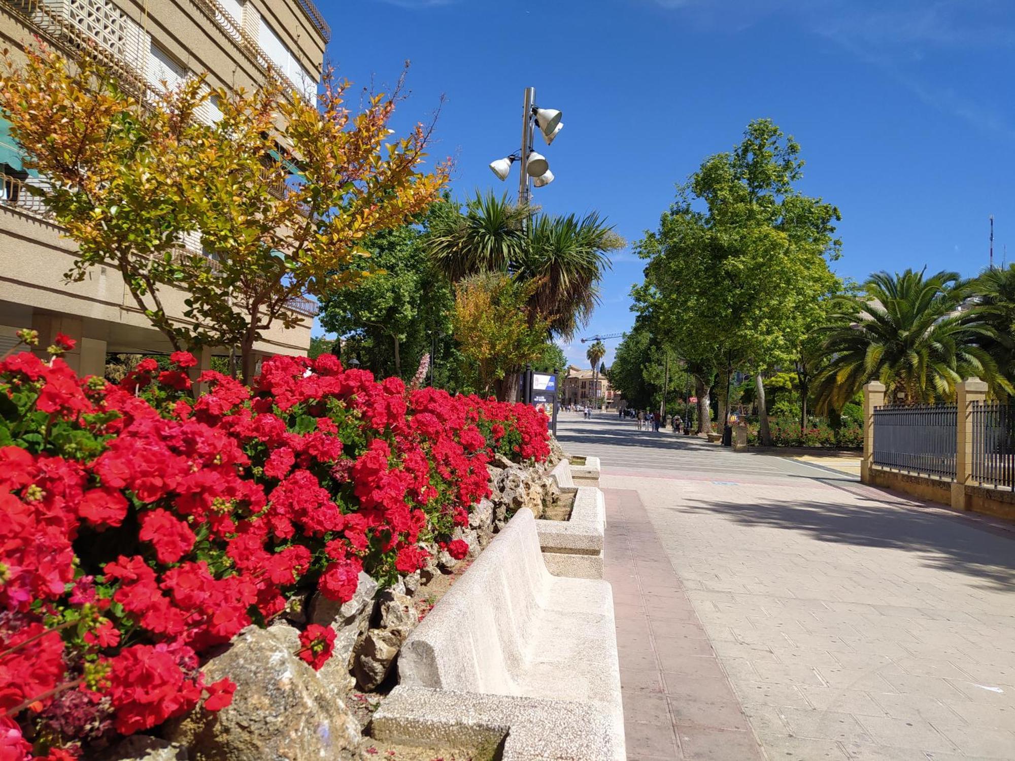 Alojamiento Los Alamos Alcalá la Real Buitenkant foto